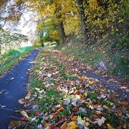 Idyllic Farm With Scenic Views And Concierge By Swisshut Dom wakacyjny Sigriswil