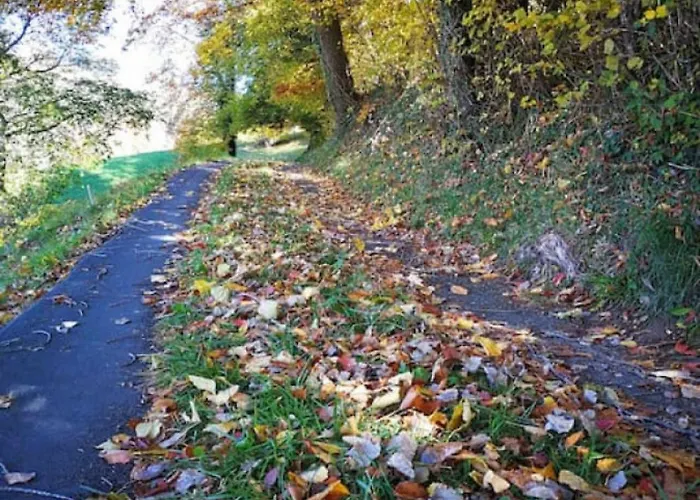 Idyllic Farm With Scenic Views And Concierge By Swisshut Vakantiehuis Sigriswil