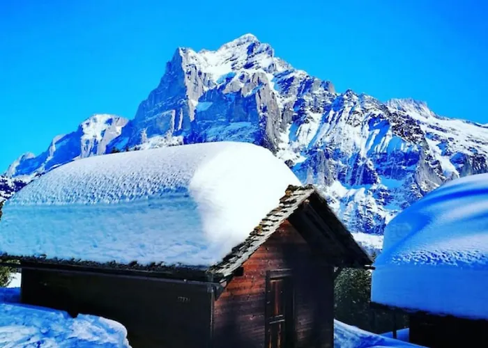 Idyllic Farm With Scenic Views And Concierge By Swisshut *